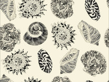 Load image into Gallery viewer, Nerina Kimono