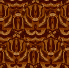 Load image into Gallery viewer, Arinna Pant