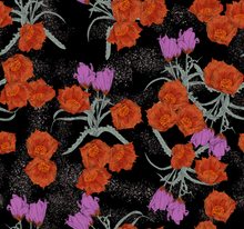 Load image into Gallery viewer, Nebulosa Kimono
